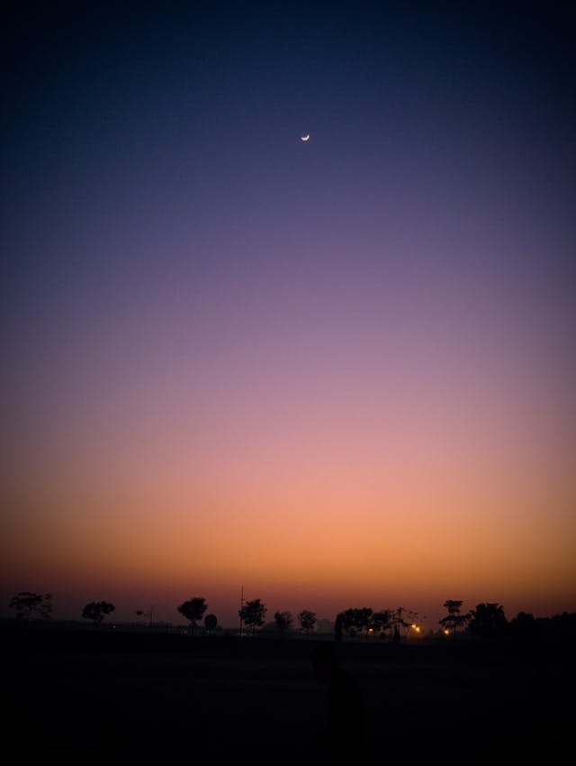 pexels-media-134928