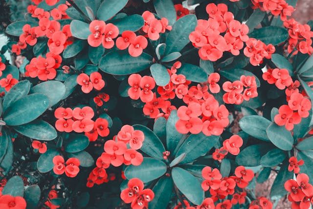 pexels-media-1666529