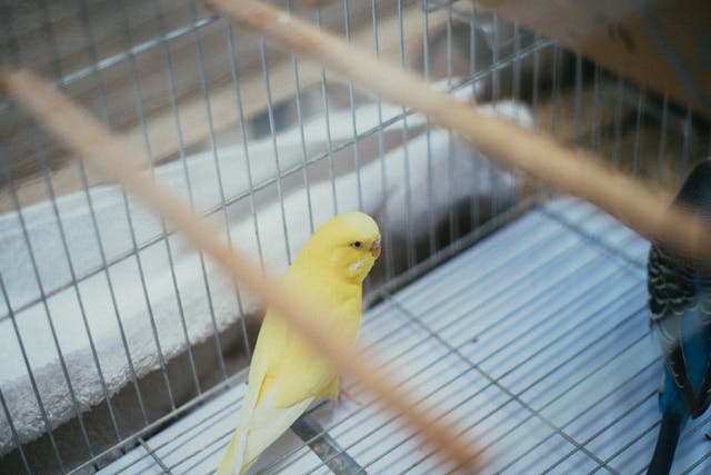 pexels-media-4062813
