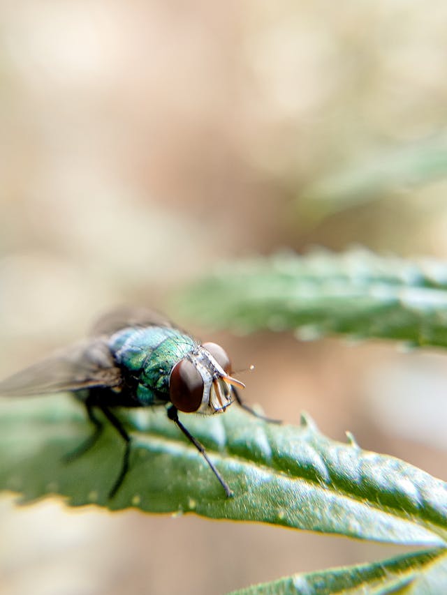 pexels-media-5125711