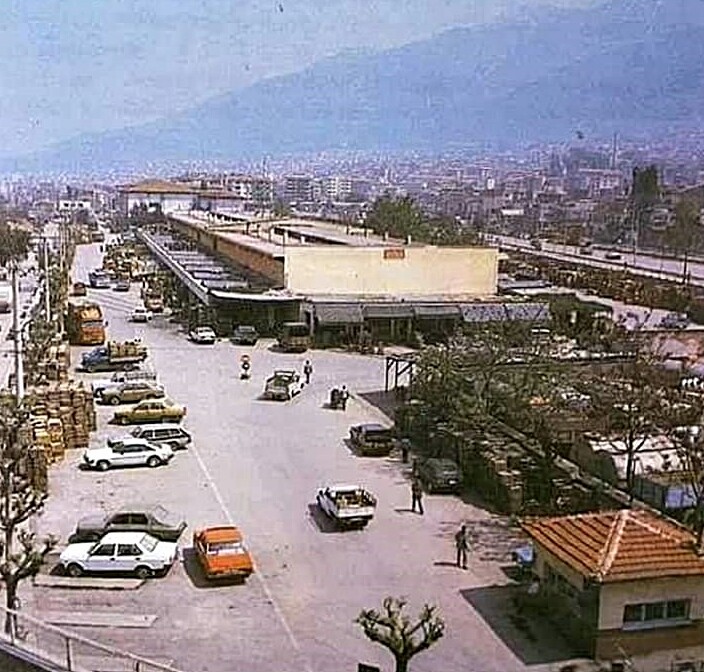 sebzemeyvehali1980