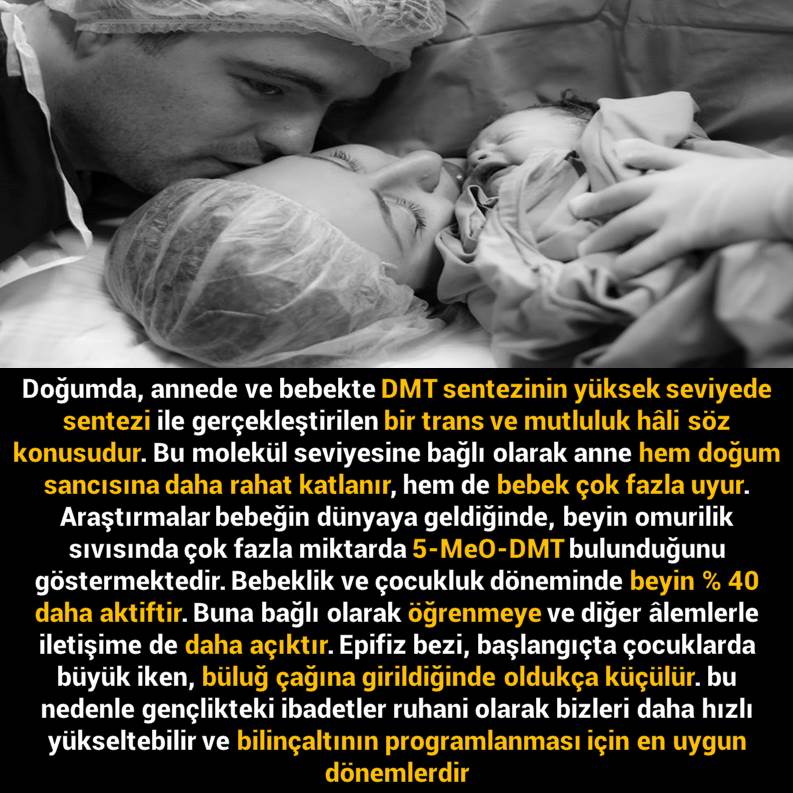 Slayt1071