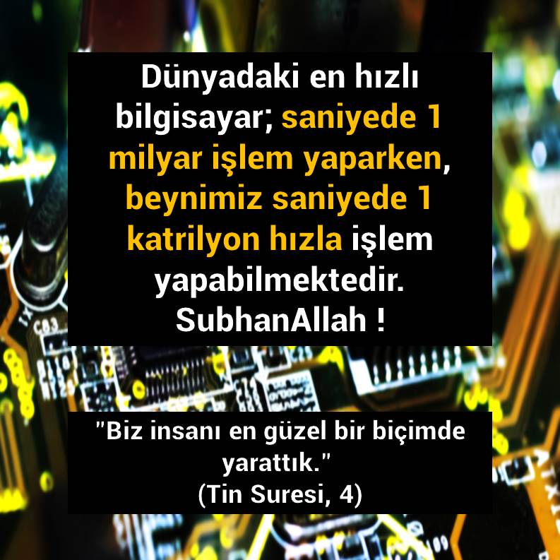 Slayt1251