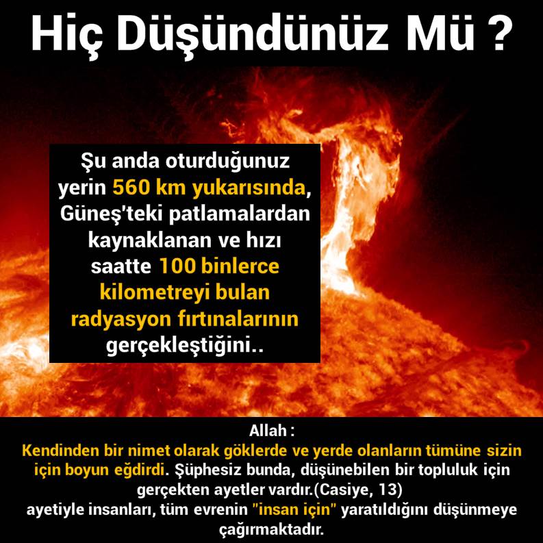 Slayt1269