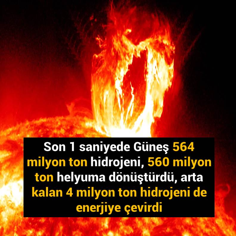 Slayt534