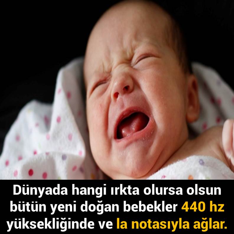Slayt764