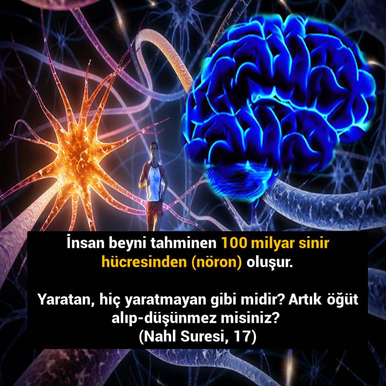 Slayt977