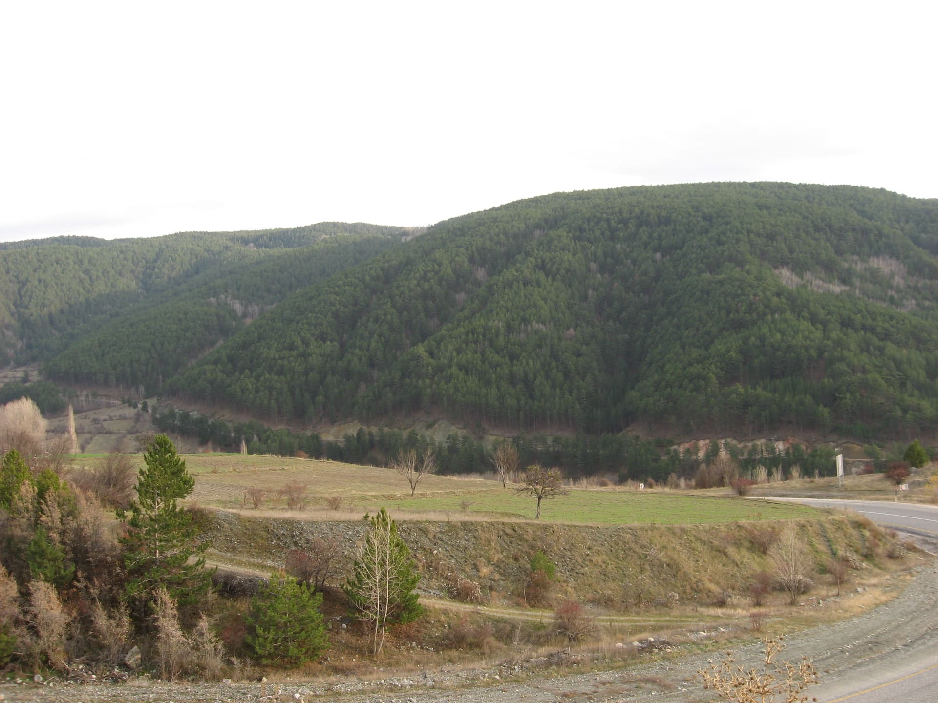 takılar 025