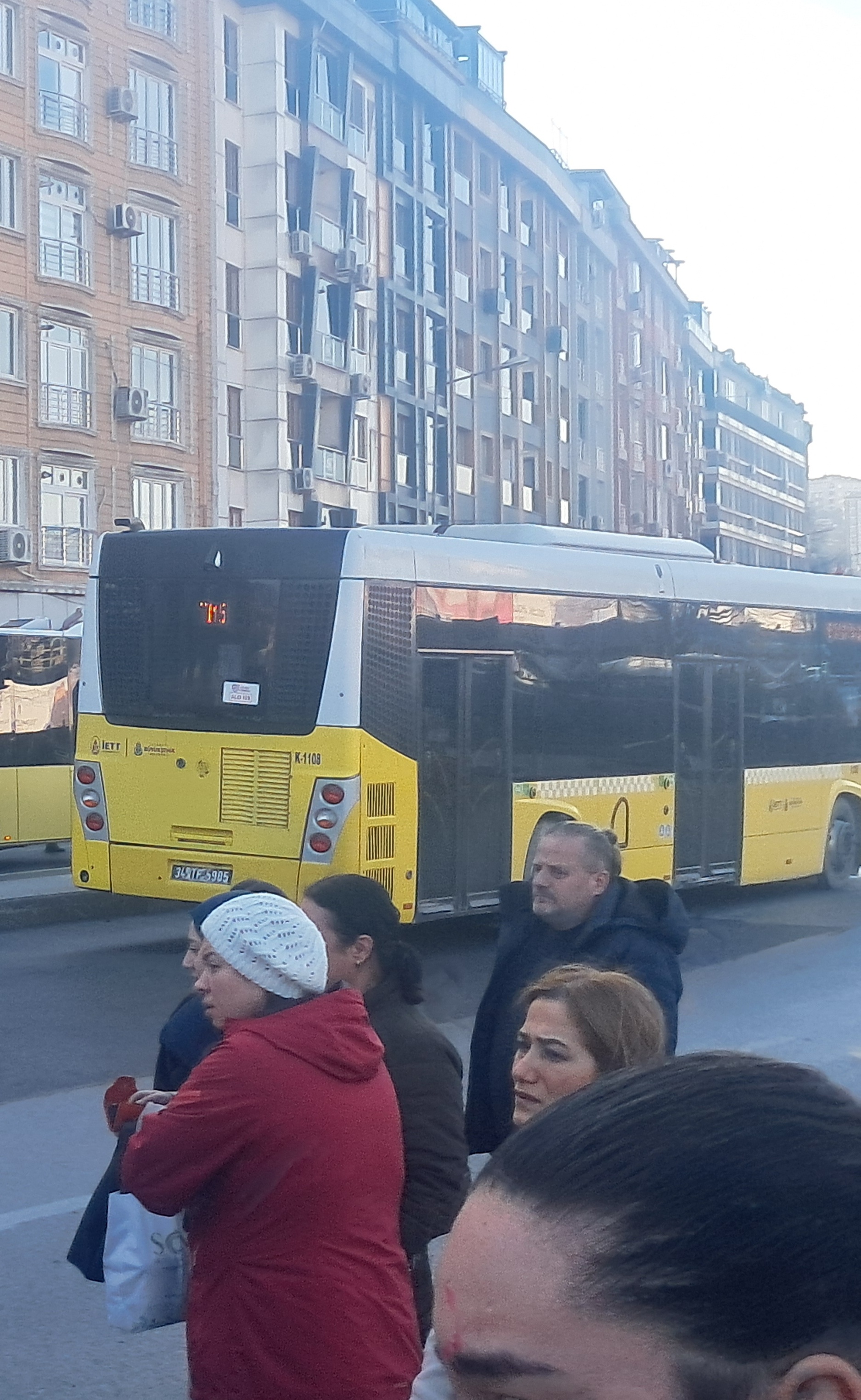 TM5.jpg