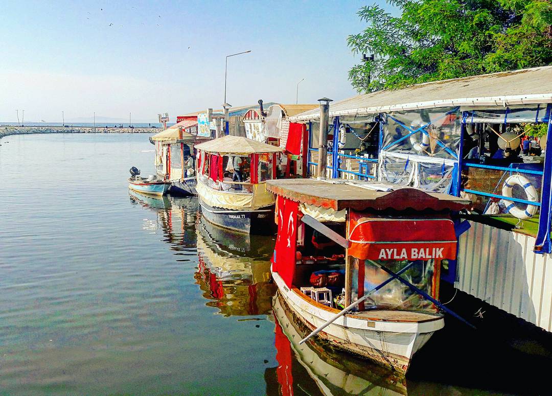 YALOVA 15