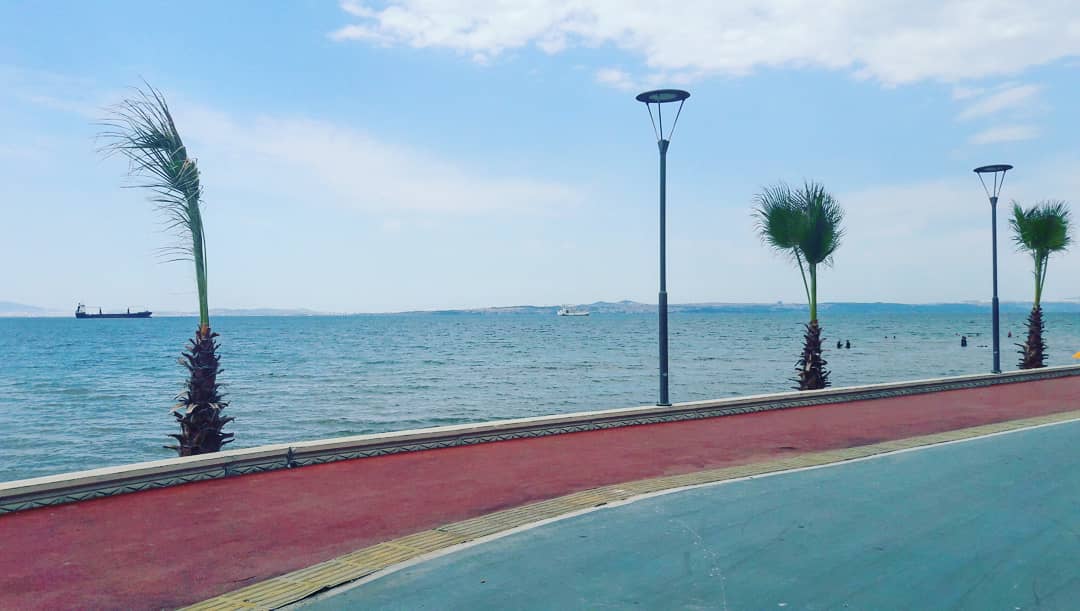 YALOVA 19