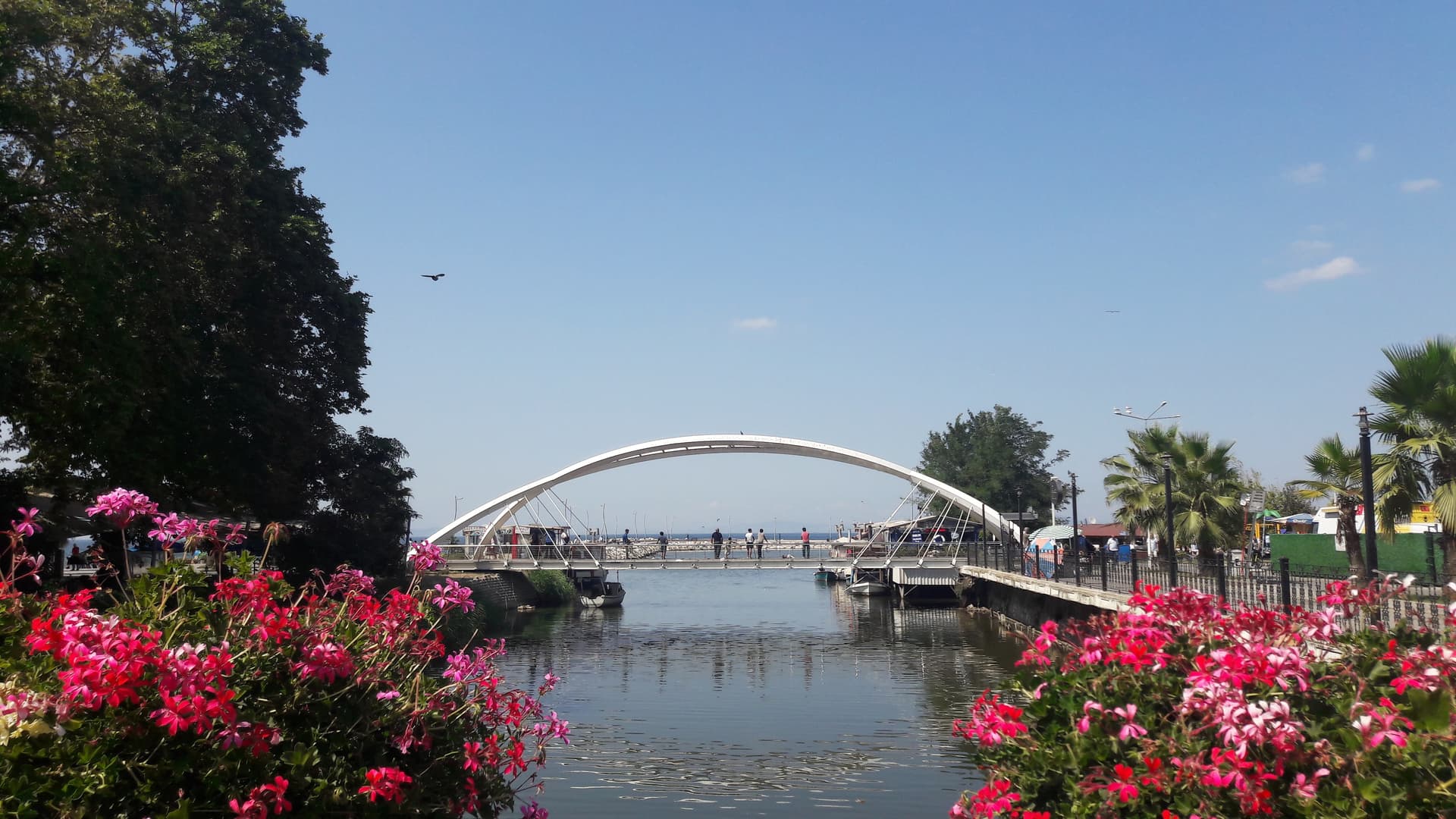 YALOVA 20
