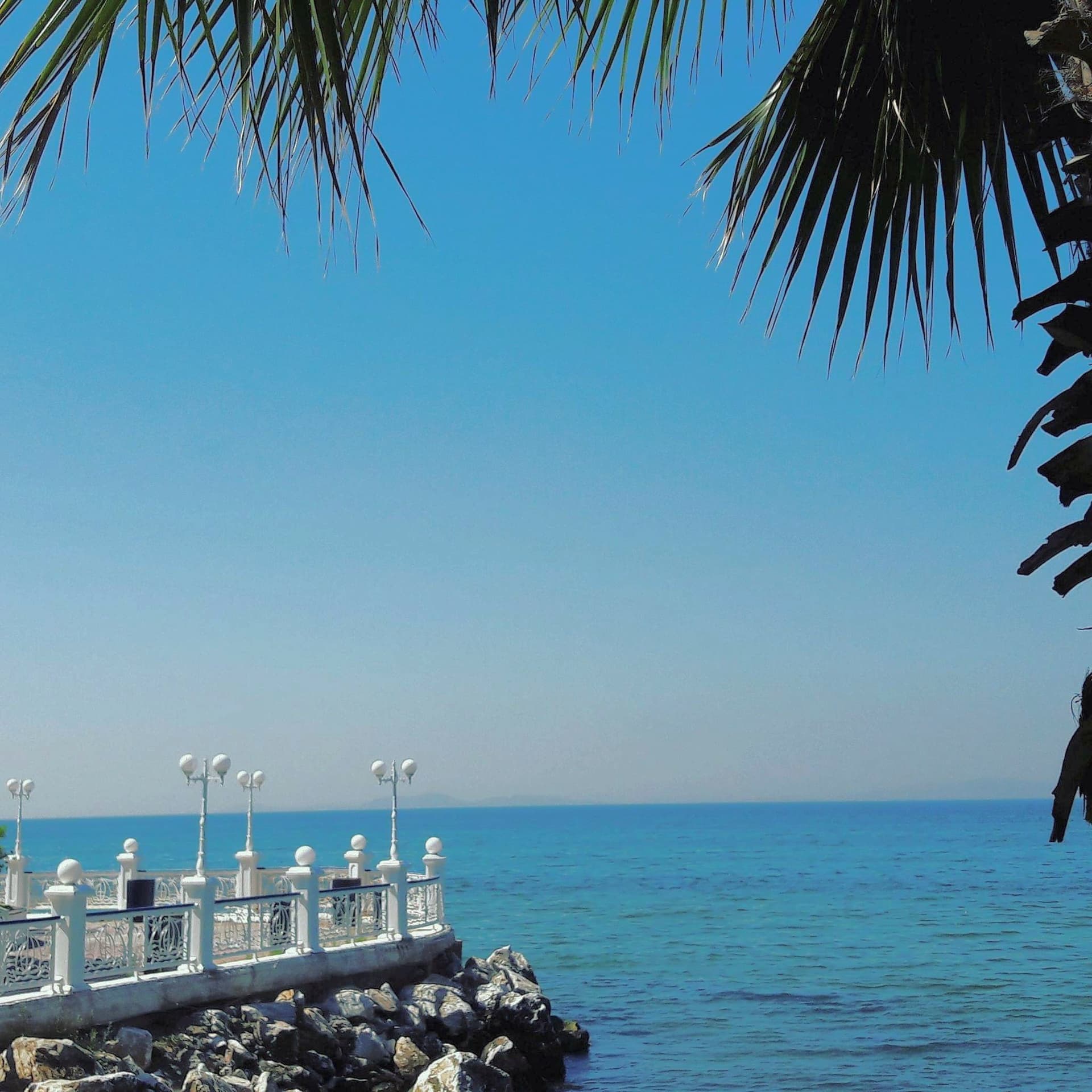 YALOVA 21