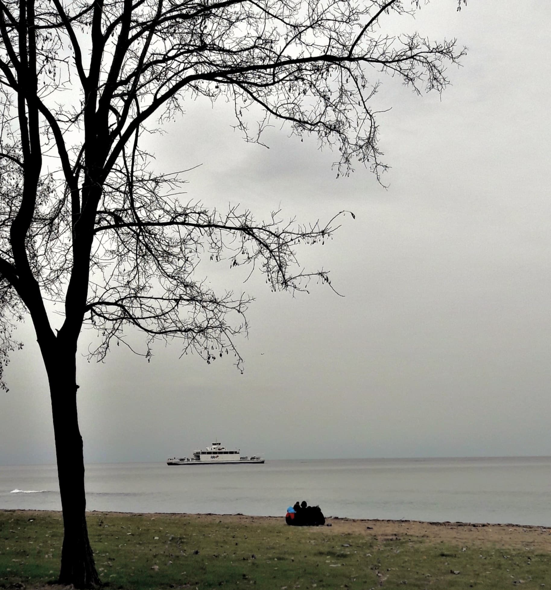 YALOVA 22