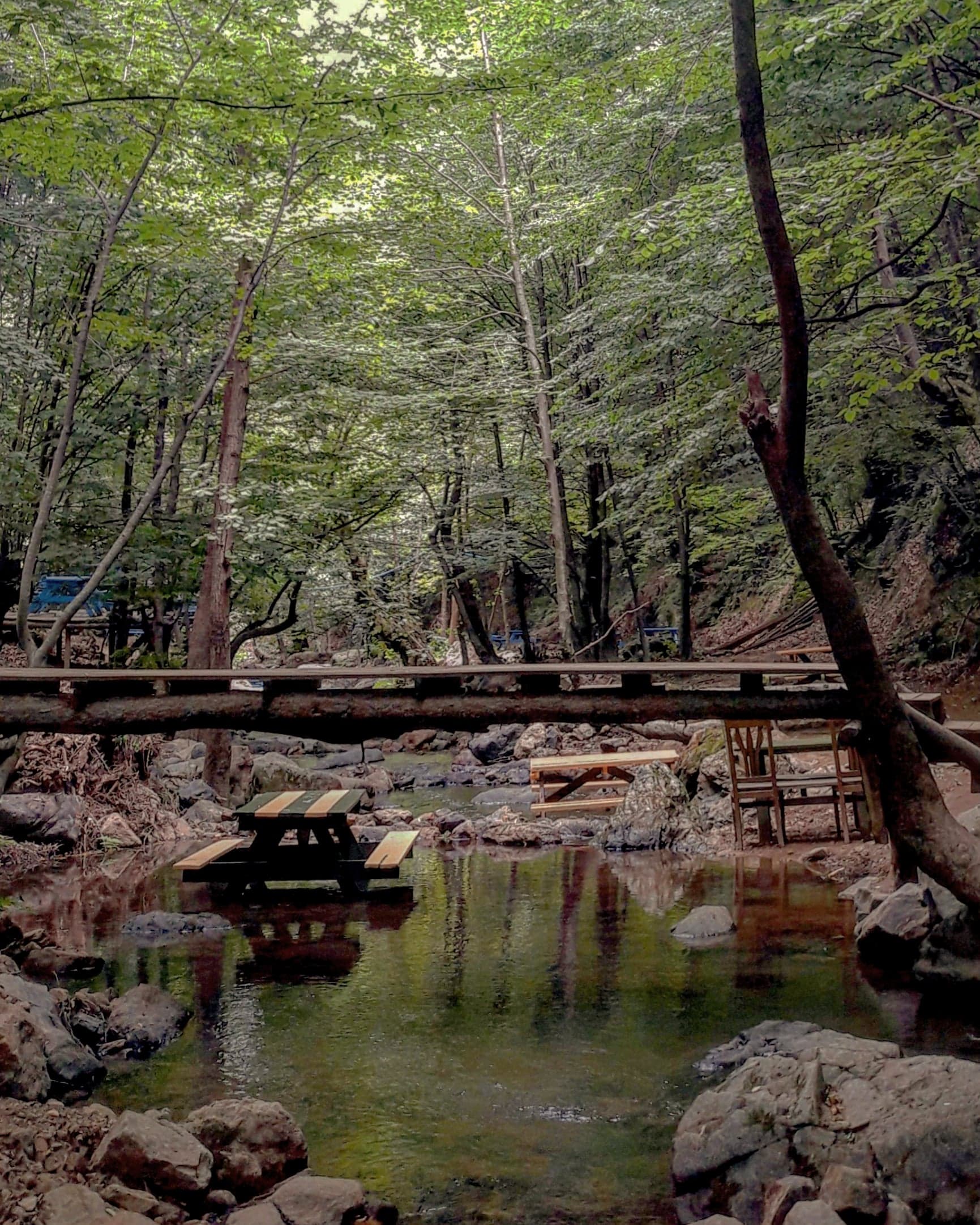 YALOVA 23