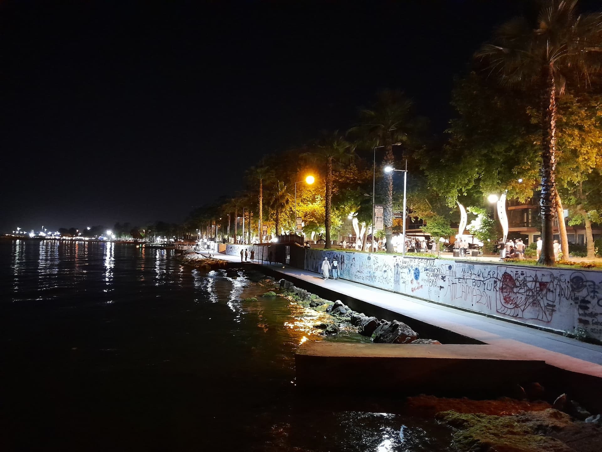 YALOVA 37