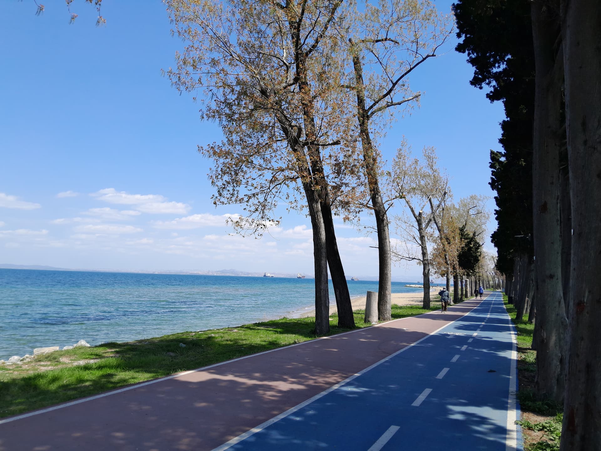 YALOVA 38