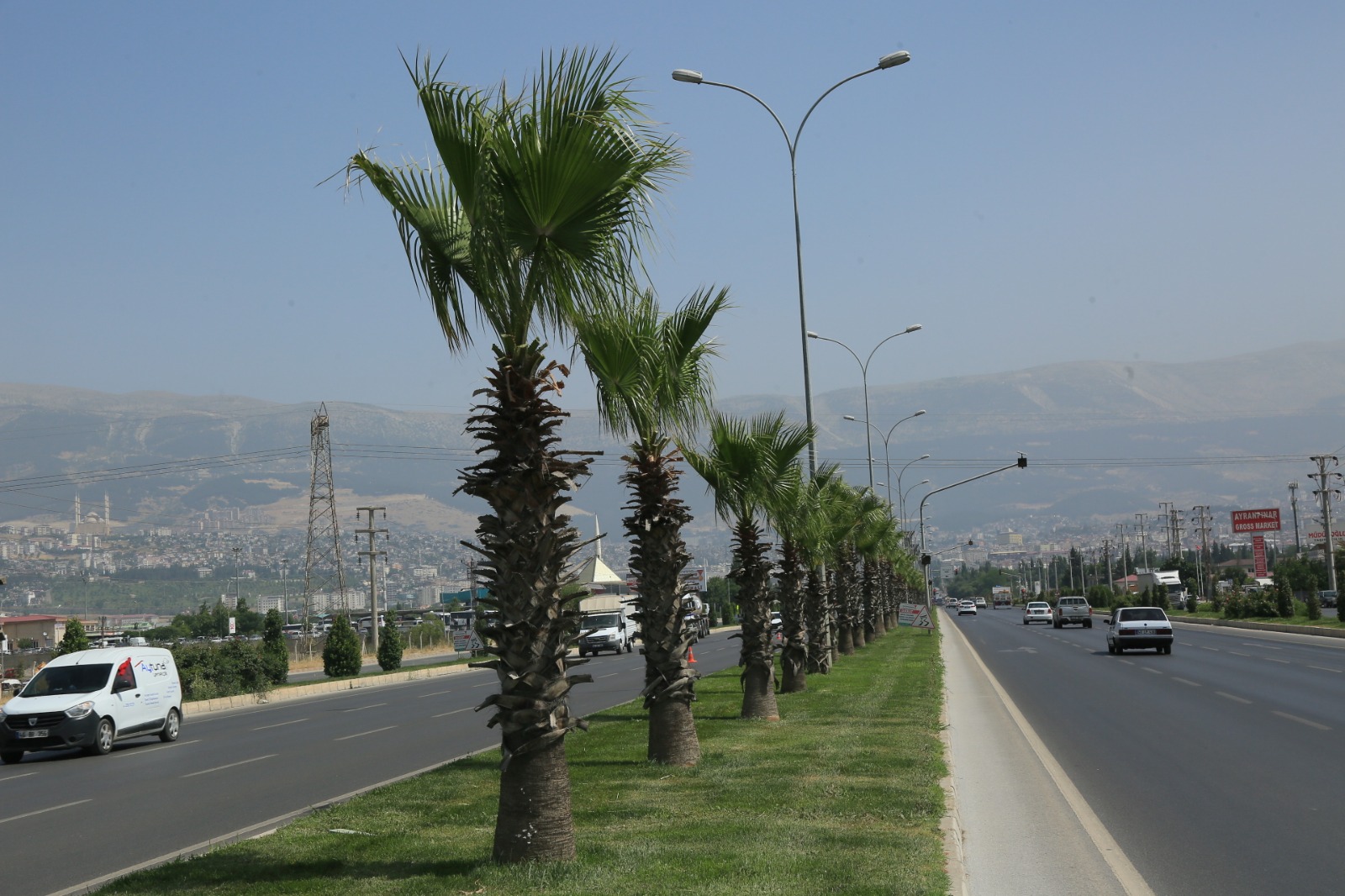 yesil_alan2