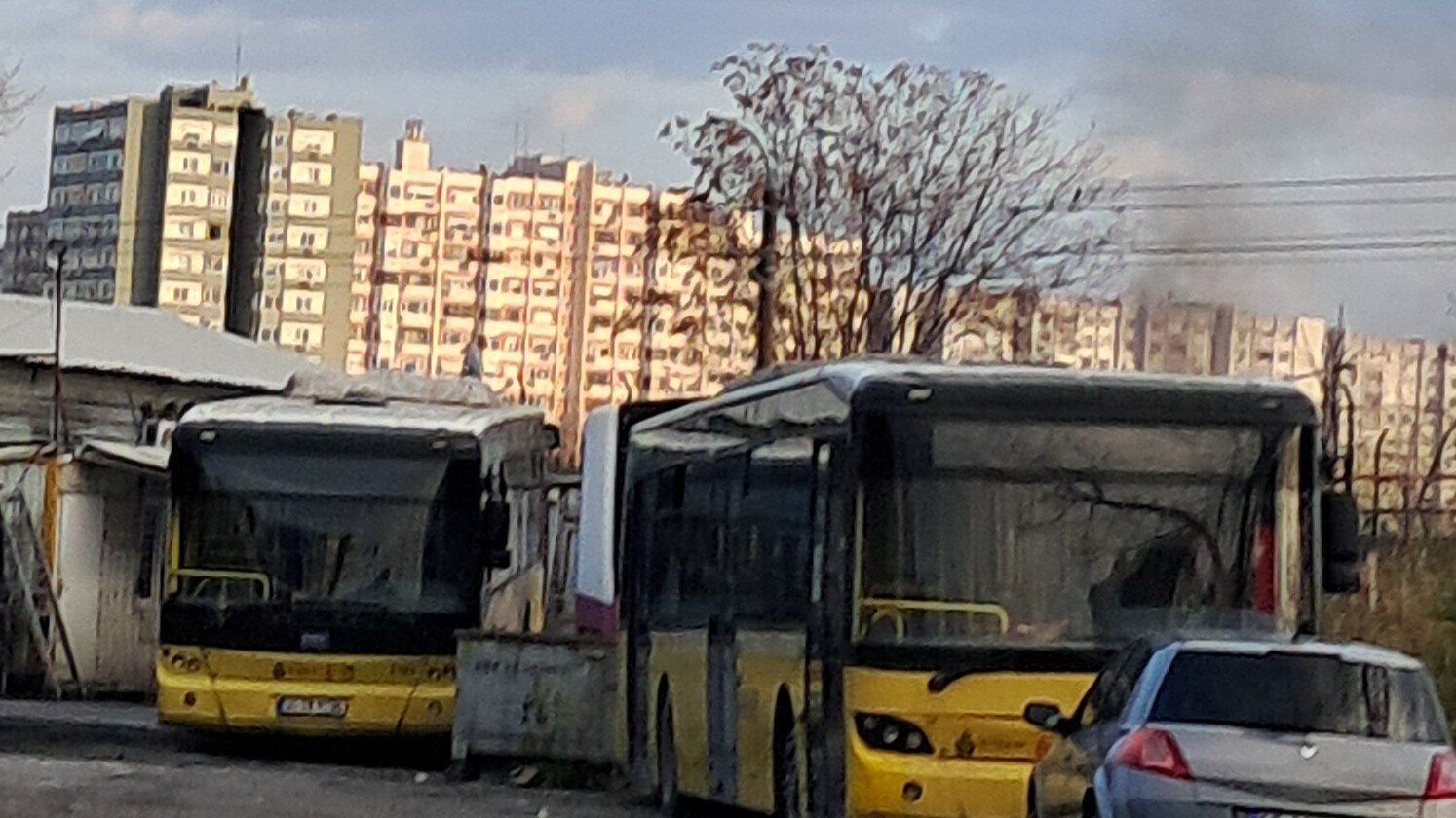 20260107_163513_1.jpg 20260107_163513_1.jpg