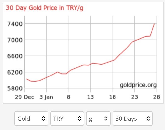 IMG_2895.jpeg IMG_2895.jpeg