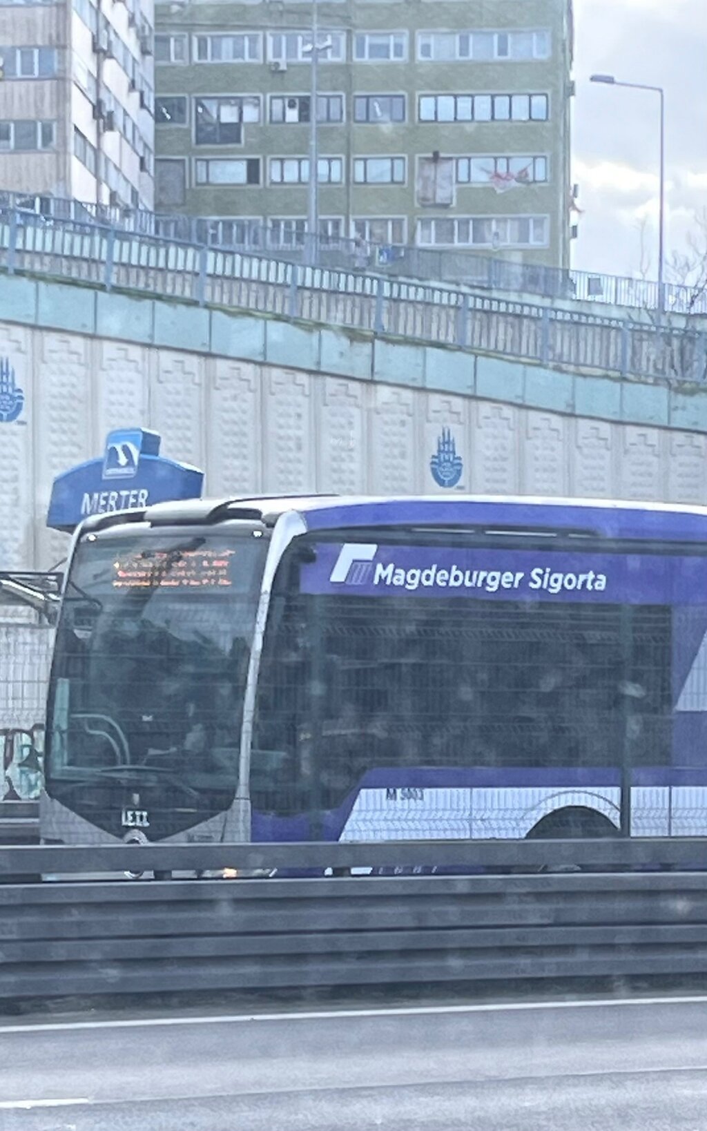 IMG_9284.jpeg IMG_9284.jpeg