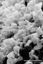 donmuş karbondioksit.jpg