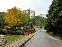 20201119153749.jpg 20201119153749.jpg