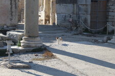 IMG_5948.JPG IMG_5948.JPG