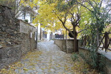 IMG_6241.JPG IMG_6241.JPG