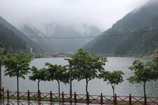 IMG_9705.JPG IMG_9705.JPG