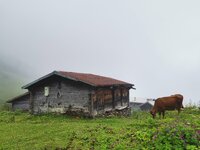 20210715_123230-min.jpg 20210715_123230-min.jpg