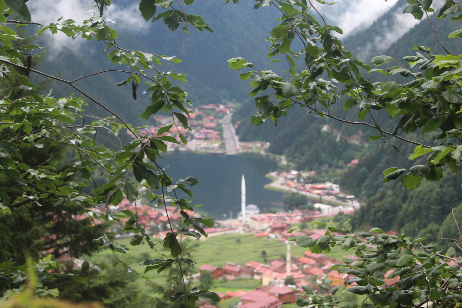 IMG_9664.JPG IMG_9664.JPG