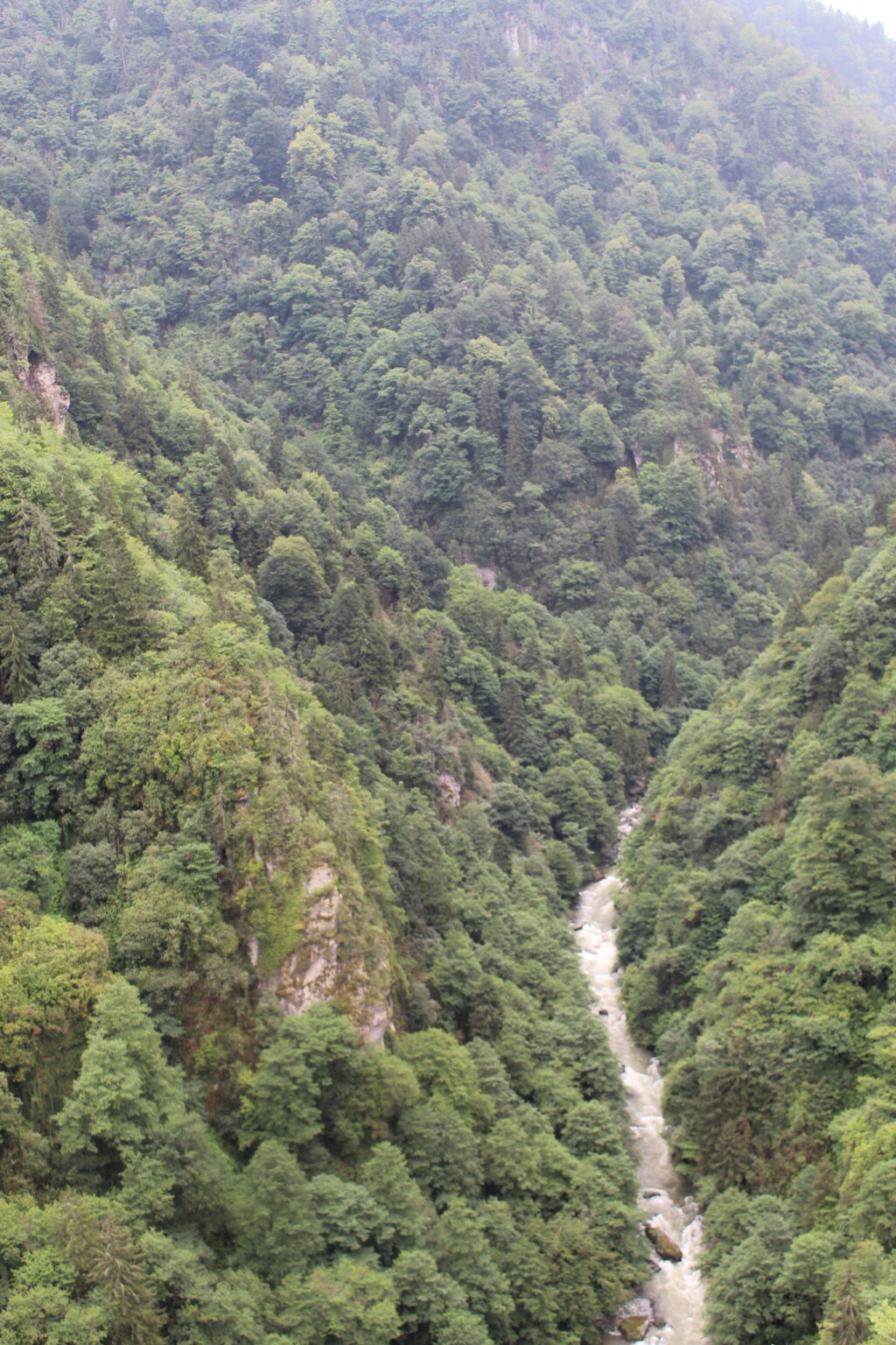 IMG_0002.JPG IMG_0002.JPG