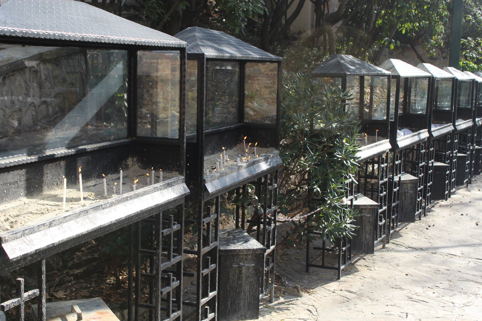 IMG_6171.JPG IMG_6171.JPG