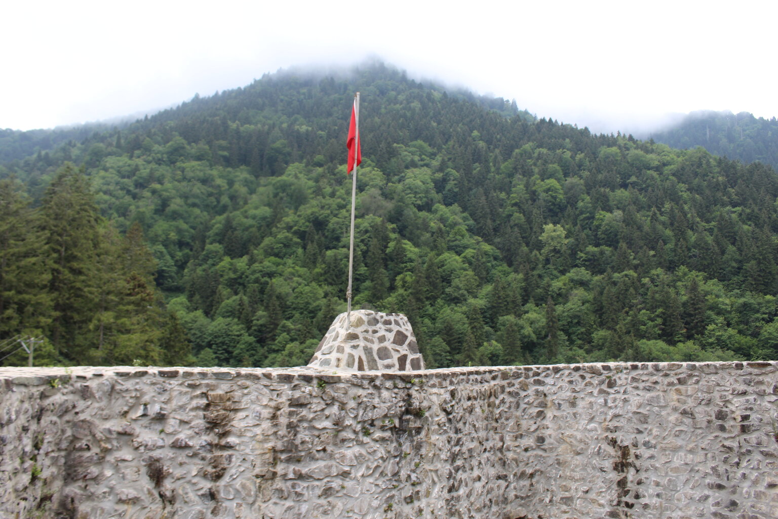 IMG_0025.JPG IMG_0025.JPG