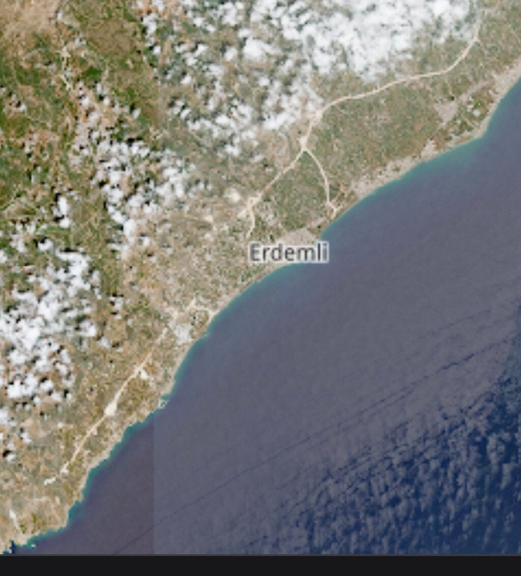 Screenshot_20250810_190750_Samsung Internet.jpg