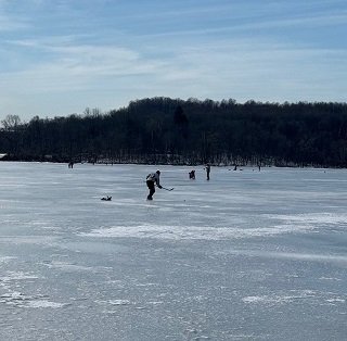 Donmus golde Hokey.jpg