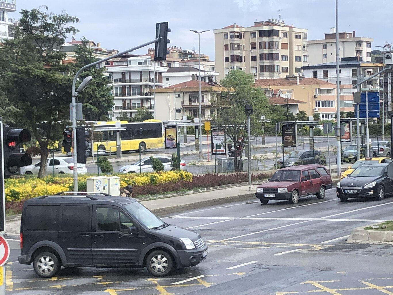 IMG_5795.jpeg IMG_5795.jpeg