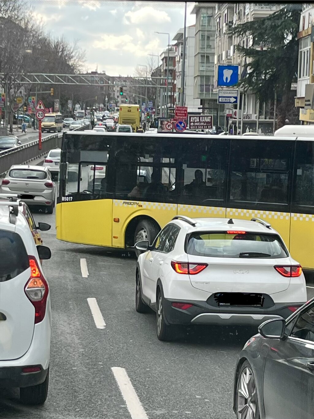 IMG_9174.jpeg IMG_9174.jpeg