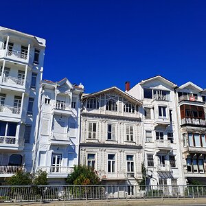 20251006_135554 (1).jpg