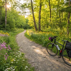 bike-nature.jpg