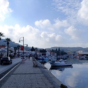 IMG_20241115_120329 (1).jpg