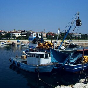 1805295705_26adedaa1e_o (1).jpg