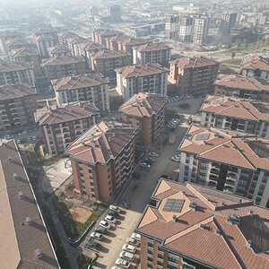 ssC90_1766082082_5056 (1).jpg