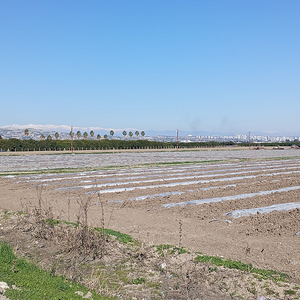 Tarsus Atalar Köyü Yolu. Tarsus (Batı)