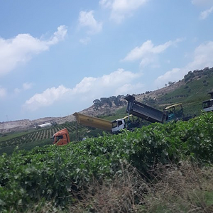 TAG Otoyolu Mersin OSB Bağlantı Kavşağı İnşaatı // Foto: 2022