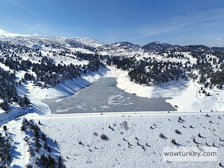 02.06_1_New folder (11)_New folder (11)_AA-37084462.jpg