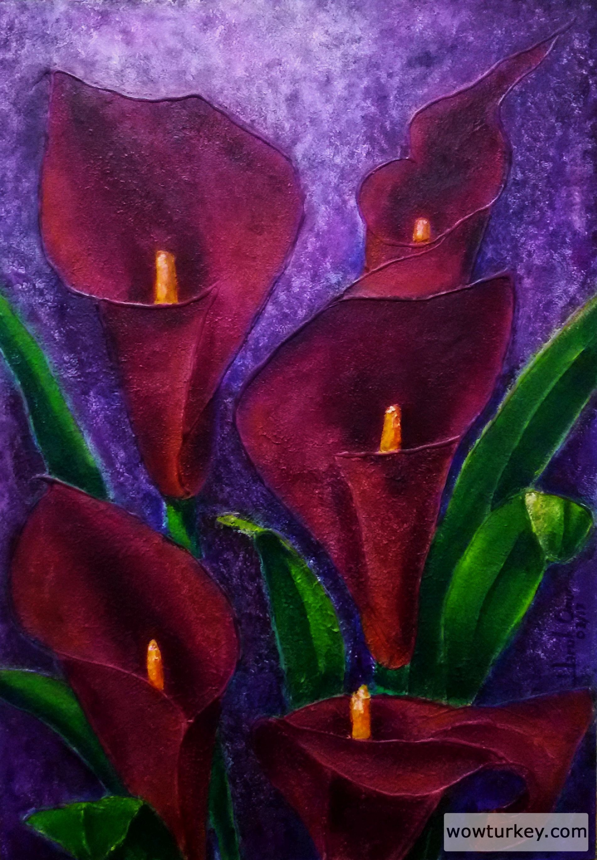 032-Violet colour callas.jpg