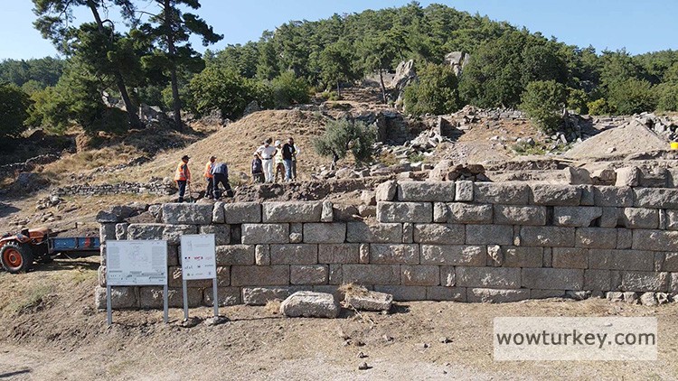 07_18_04_AA-35647889