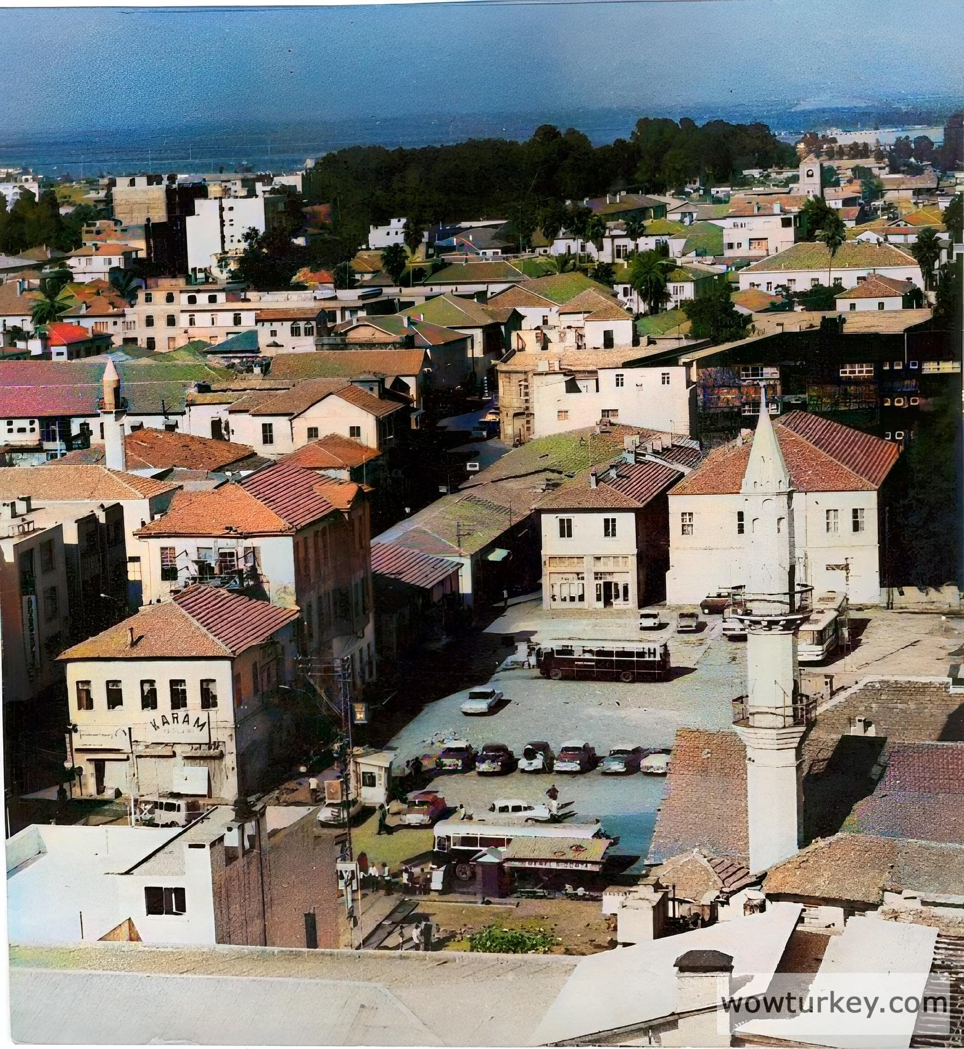 1000227569-colorized